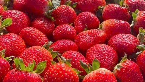 Cách chọn loại trái cây làm da đẹp nhất