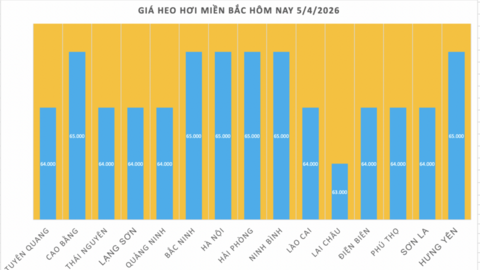 Giá heo hơi hôm nay 5/4/2026: Giữ đà ổn định