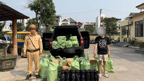 Liên tiếp phát hiện 2 vụ vận chuyển, thu giữ 440 bình khí cười ở Quảng Ninh