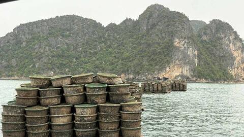 Hàng loạt vi phạm nuôi trồng thủy sản trái phép bị xử lý ở Quảng Ninh