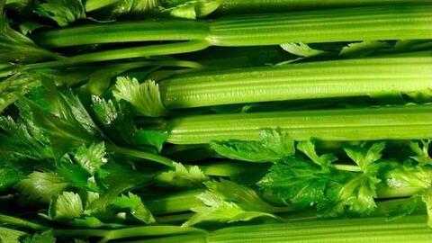 Giải nhiệt, thanh lọc cơ thể bằng loại rau hay dùng để giảm cân