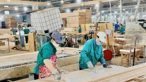 Gia Lai 'chọn mặt gửi vàng', kiến tạo lực lượng doanh nghiệp dẫn dắt