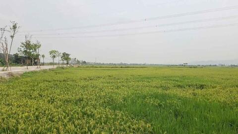 Cảnh báo mưa dông kèm lốc, sét, mưa đá ở Hà Tĩnh