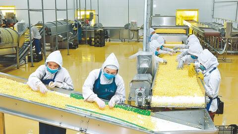 Ngành ngân hàng Khu vực 11: Dẫn dòng tín dụng, kích hoạt động lực tăng trưởng Tây Nguyên