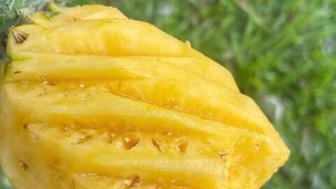 Tăng chức năng thận với loại quả đang vào mùa