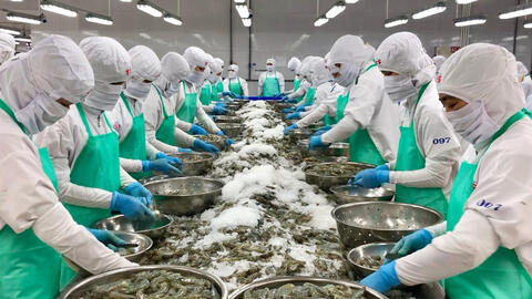 VinaFIS Expo 2026: Kết nối công nghệ, gia tăng giá trị ngành thủy sản