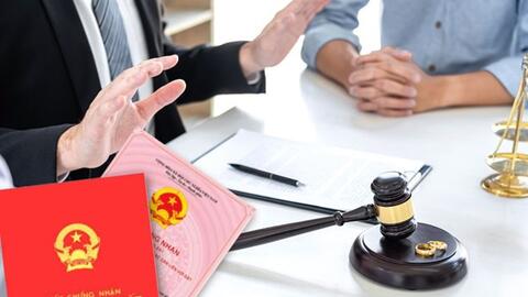 Trường hợp vi phạm đất đai được miễn, giảm án và xóa án tích từ 1.5
