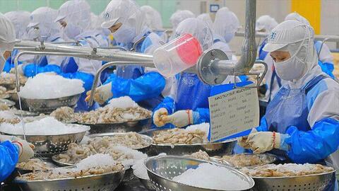 Doanh thu Sao Ta giảm tháng thứ 4 liên tiếp