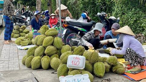 Sầu riêng hai giá: Cần giải pháp căn cơ để ổn định thị trường tiêu thụ