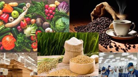 Nâng cao năng lực phòng vệ thương mại cho nông sản Việt Nam