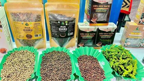 Giá tiêu hôm nay 12/5/2026: Duy trì ổn định từ 141.000-144.000 đồng/kg