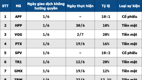 Cổ đông đón tin vui: 32 doanh nghiệp chốt quyền chia cổ tức, mức cao nhất 50%