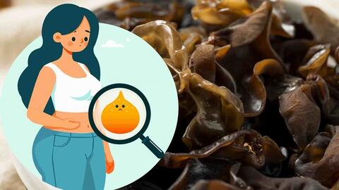 Kiểm soát mỡ nội tạng, giảm cân từ một loại nấm quen thuộc