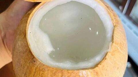 Công thức làm nước chanh kết hợp nước dừa hỗ trợ thải độc gan