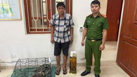 Ngâm rượu tay gấu, một người đàn ông ở Ninh Bình bị khởi tố