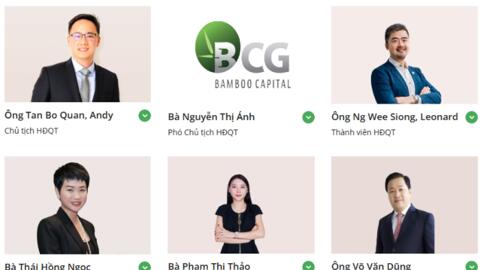 Gần 1 năm Hasco Group hiện diện tại Bamboo Capital: Tái cơ cấu HĐQT, đưa người vào loạt công ty con nắm dự án nghìn tỷ