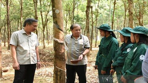 Doanh nghiệp cao su vun đắp tình hữu nghị hai nước Việt Nam - Lào