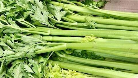 Cách ăn rau cần tây hỗ trợ kiểm soát axit uric
