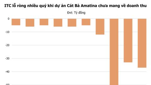 Doanh nghiệp nhóm MIK Group làm dự án 11.000 tỷ tại Cát Bà tiếp tục báo lỗ