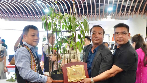Doanh nghiệp Gia Lai trúng đấu giá cây sâm Ngọc Linh 35 năm tuổi làm thiện nguyện