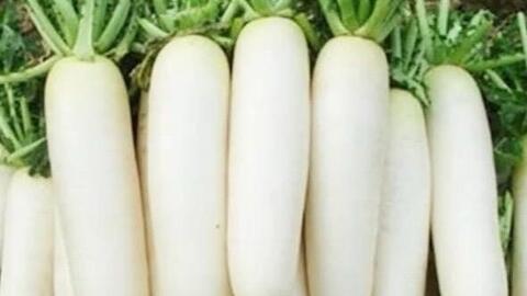 Hỗ trợ quá trình đào thải axit uric bằng loại củ quen thuộc