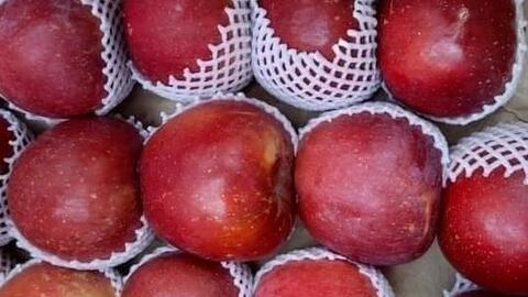 Loại quả hỗ trợ giảm cân lại tốt cho đường ruột