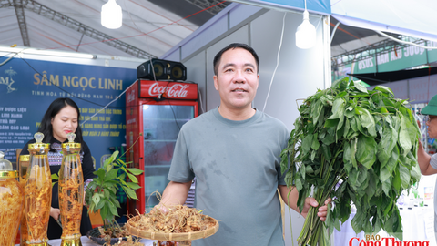 Doanh nghiệp sâm Ngọc Linh thu về hơn 600 triệu đồng tại hội chợ miền Trung - Tây Nguyên