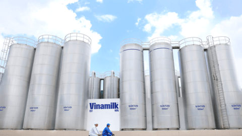 50 năm Vinamilk: Hành trình không ngừng nâng chuẩn