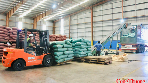 Gia Lai nâng giá trị ngành hàng xuất khẩu chủ lực