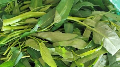 Cách ăn rau muống phù hợp với người bệnh gout có axit uric cao