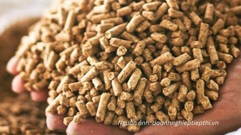 33 thông báo SPS mới, nhiều quy định đáng chú ý với hàng xuất khẩu