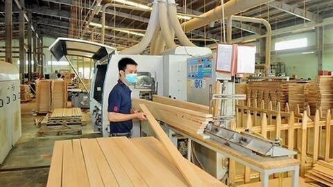 Thị trường gỗ nội địa cần một "luật chơi" minh bạch