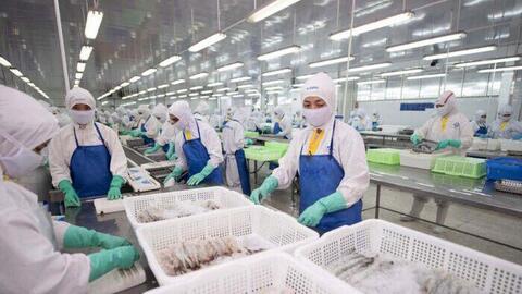 Doanh thu quý III của Sao Ta giảm hai chữ số