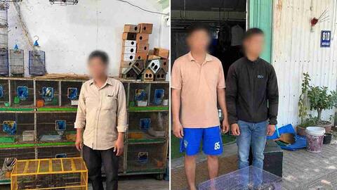 Công an phát hiện 290 cá thể chim không rõ nguồn gốc ở Khánh Hòa