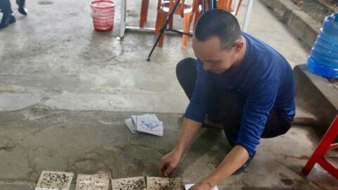 Trại gà khiến ruồi phát sinh dày đặc ở Quảng Trị cam kết khắc phục trước ngày 17.10