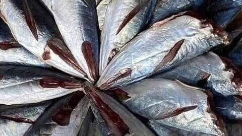 Loại thực phẩm hỗ trợ giảm cân và giúp giảm áp lực lên xương khớp