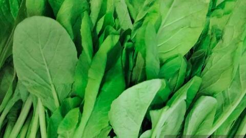 Loại rau có thể hỗ trợ ngủ ngon, có lợi cho huyết áp