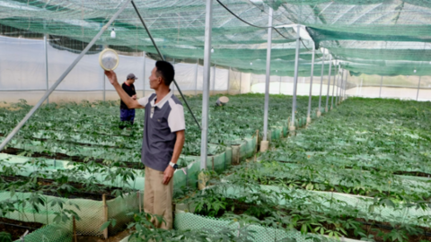 Lai Châu tăng tốc phát triển kinh tế, quyết tâm đạt tăng trưởng hai con số