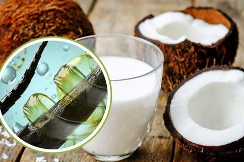 Cách kết hợp sữa dừa giúp dưỡng tóc chắc khỏe