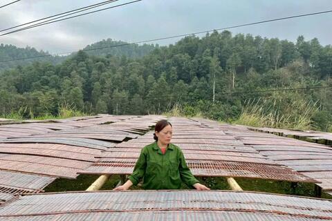 Thúc đẩy tiêu thụ, xây dựng thương hiệu miến dong Bắc Kạn