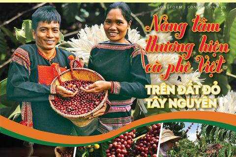 Nâng tầm thương hiệu cà phê Việt trên đất đỏ Tây Nguyên