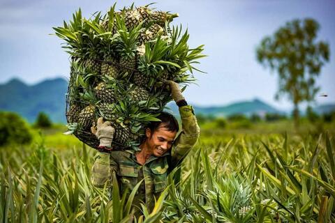 Ninh Bình ban hành Kế hoạch thực hiện Chương trình OCOP năm 2025 sau sáp nhập đơn vị hành chính