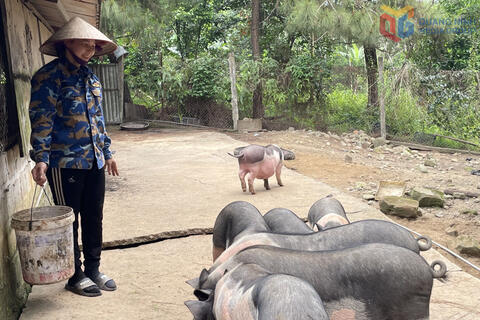 Mỗi sản phẩm OCOP là một "đại sứ" vùng miền