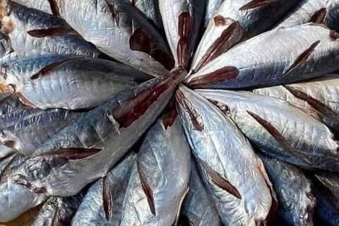 Bổ sung omega-3 từ cá nục bằng chế biến đúng cách