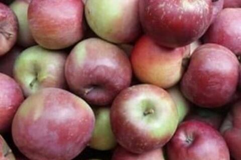 Ăn táo để hỗ trợ thải độc gan: Nên hiểu đúng