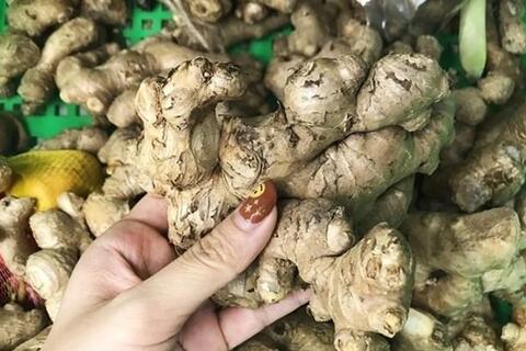 Cách uống nước gừng tốt cho gan