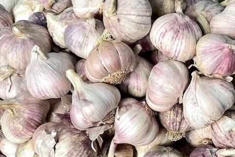 Một tép tỏi mỗi ngày có thể giúp bảo vệ trái tim ra sao