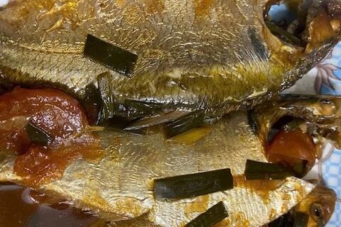 Loại cá cung cấp axit béo omega-3 tốt cho sức khỏe làn da