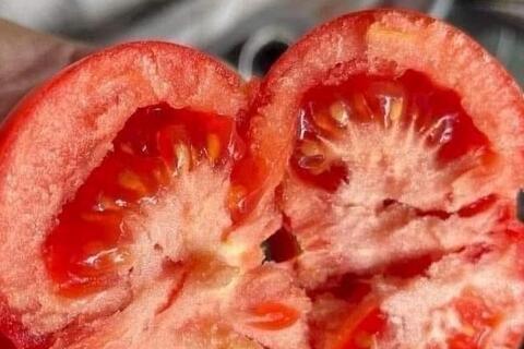 Cách thải độc gan bằng món ăn chế biến từ cà chua