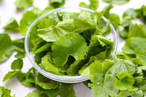 Gan khỏe hơn nhờ loại rau này